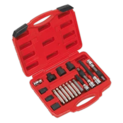 Sealey SX402 Alternator Freewheel Pulley Removal Set 18pc